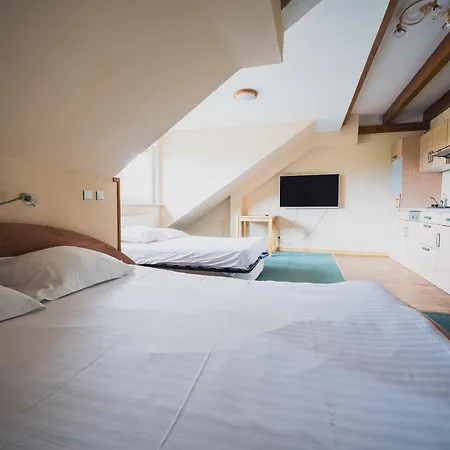 Du Donon 3* Grandfontaine