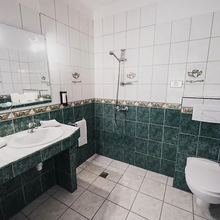 Hotel Du Donon Grandfontaine (Bas-Rhin)